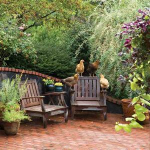 A Self-Sufficient Home and Backyard Farm in Portland Image